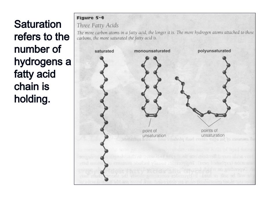 预防医学英文版课件：2-fat,energy,vitamin and minerals_第3页