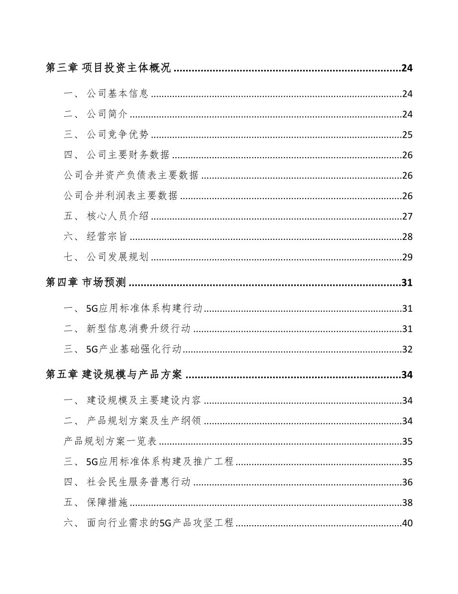 永州5G+文化旅游项目可行性研究报告(DOC 87页)_第3页