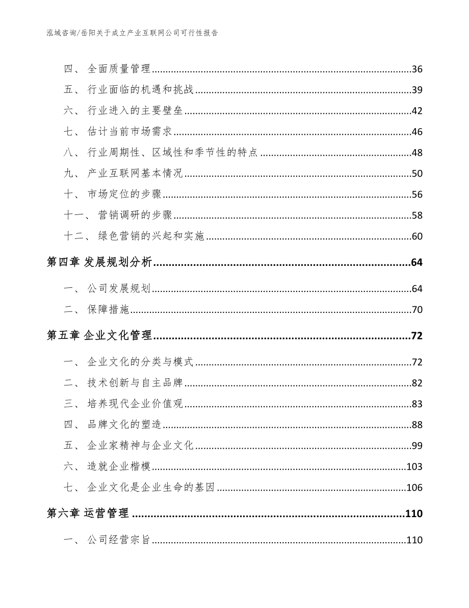 岳阳关于成立产业互联网公司可行性报告【模板】_第2页