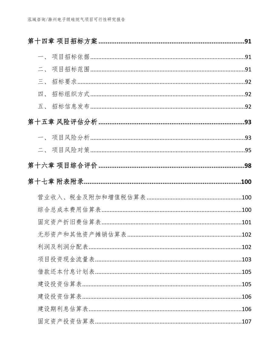 滁州电子级硅烷气项目可行性研究报告模板参考_第5页