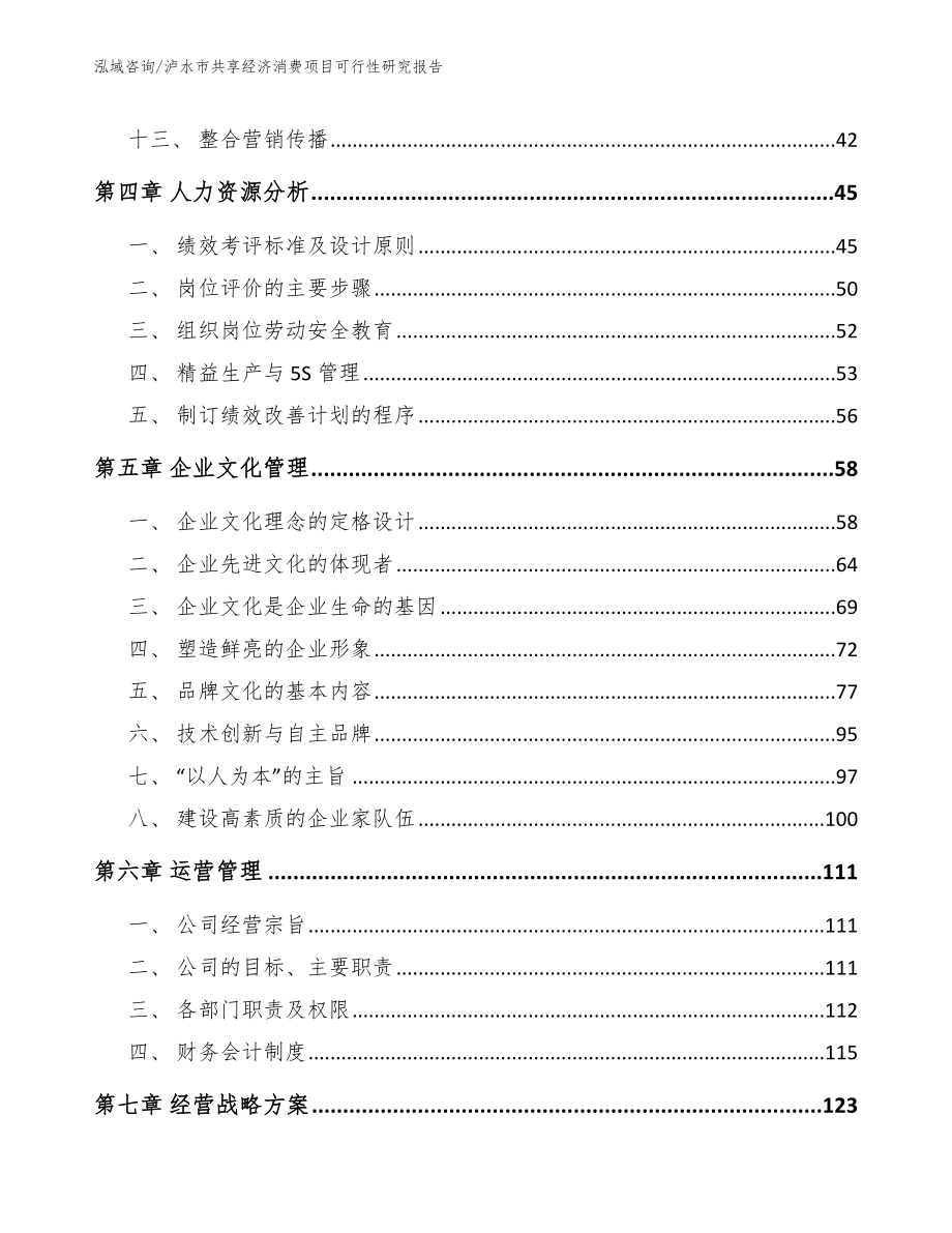 泸水市共享经济消费项目可行性研究报告_第3页