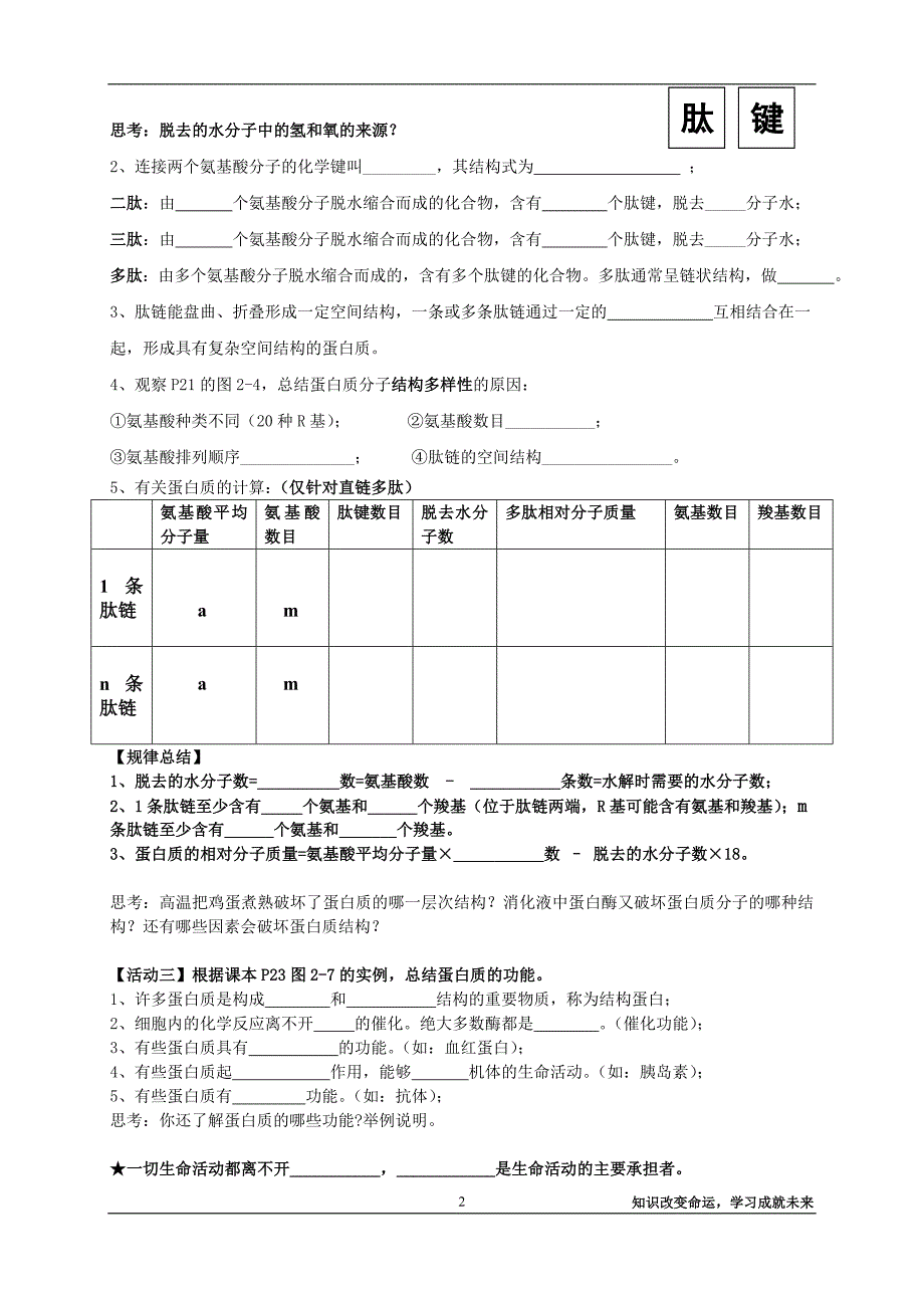 高一必修一导学案——蛋白质.doc_第2页