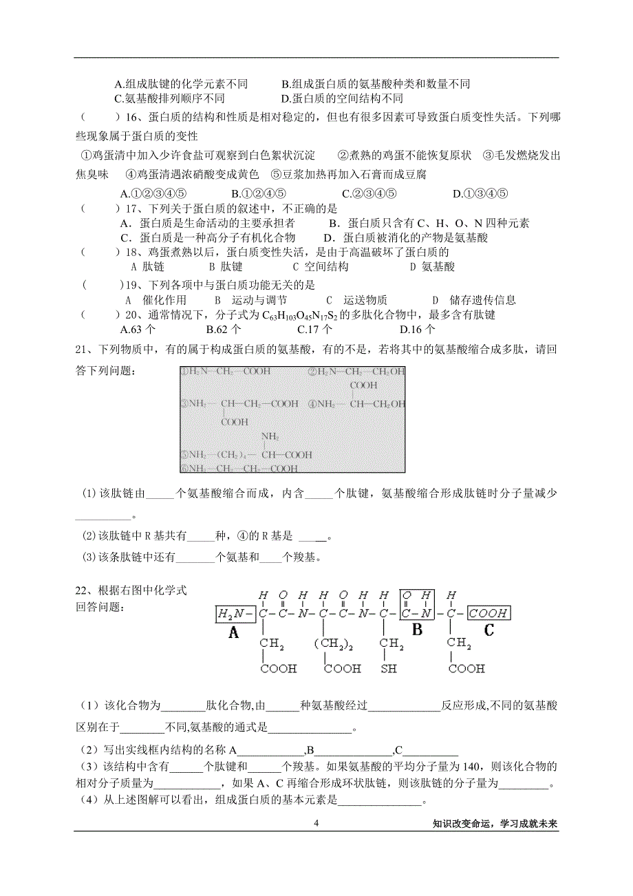 高一必修一导学案——蛋白质.doc_第4页