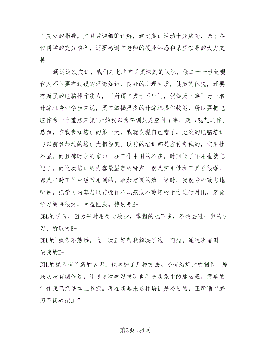 2023计算机顶岗实习总结（2篇）.doc_第3页