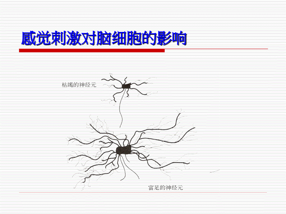 感觉统合影响人的一生课件_第4页