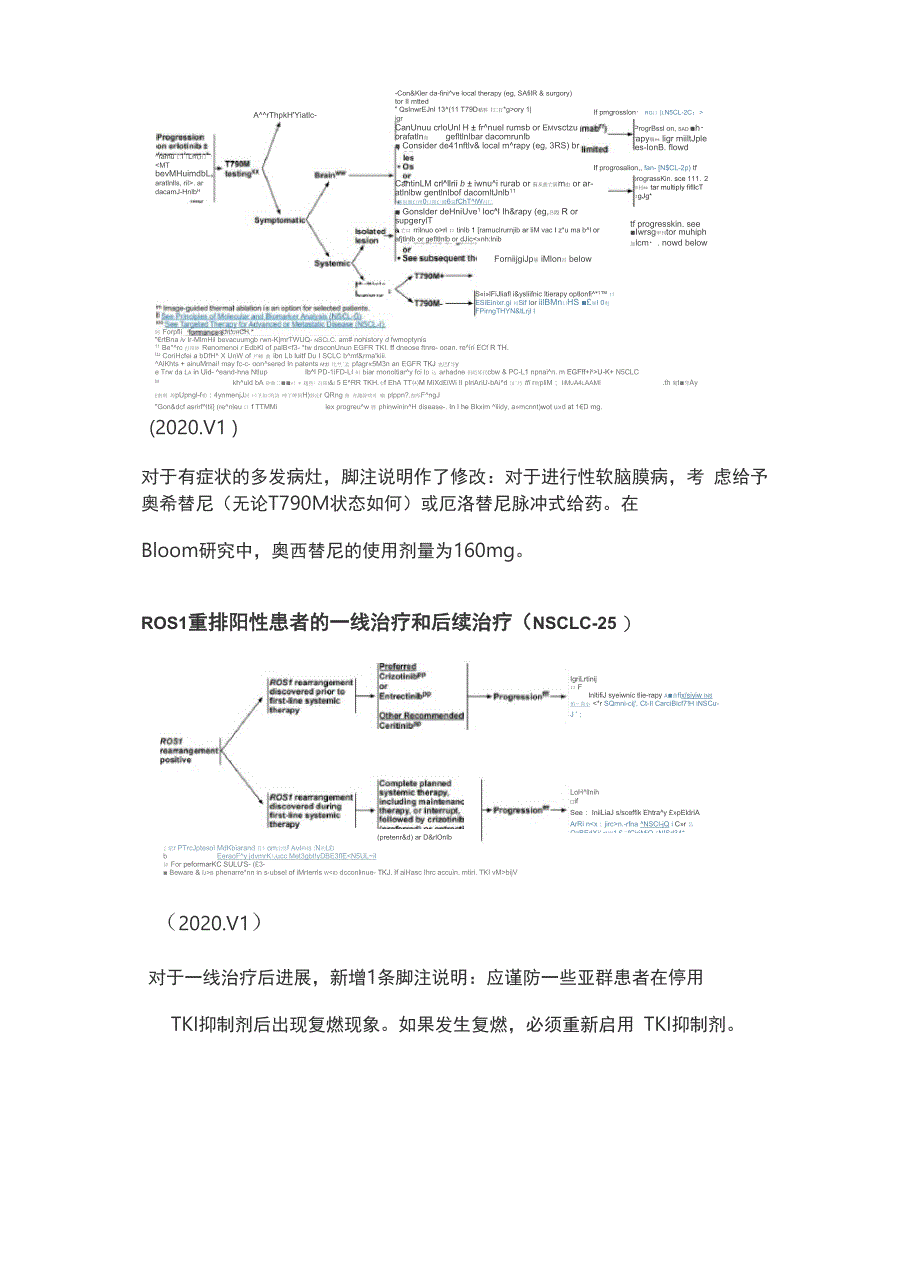 NCCN临床实践指南：非小细胞肺癌(2020V6)_第3页