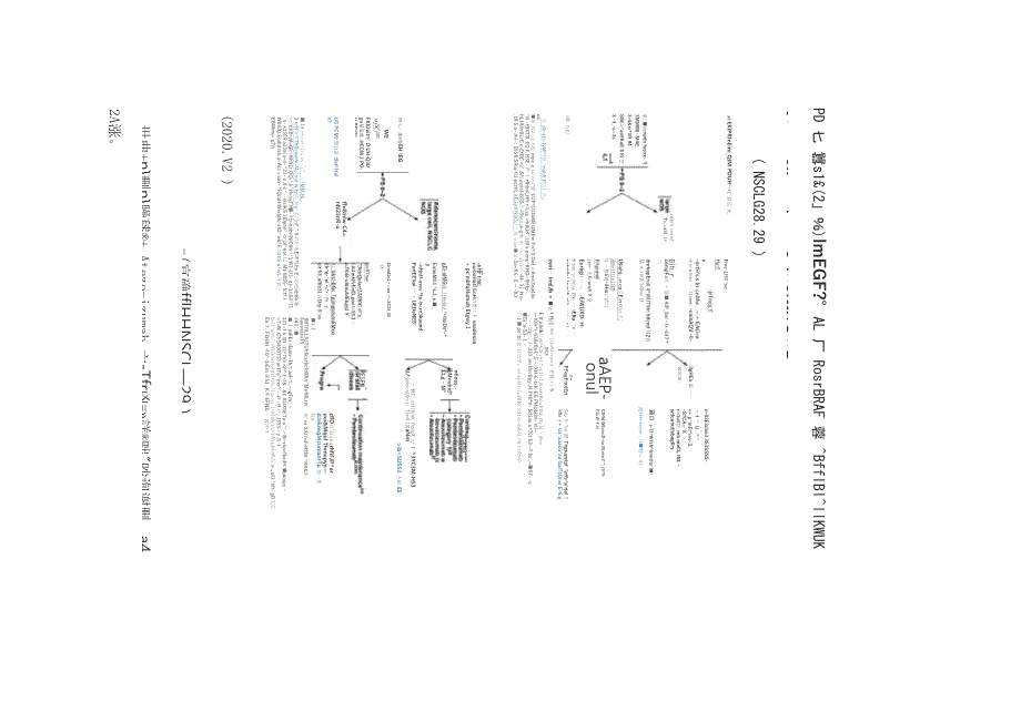 NCCN临床实践指南：非小细胞肺癌(2020V6)_第4页