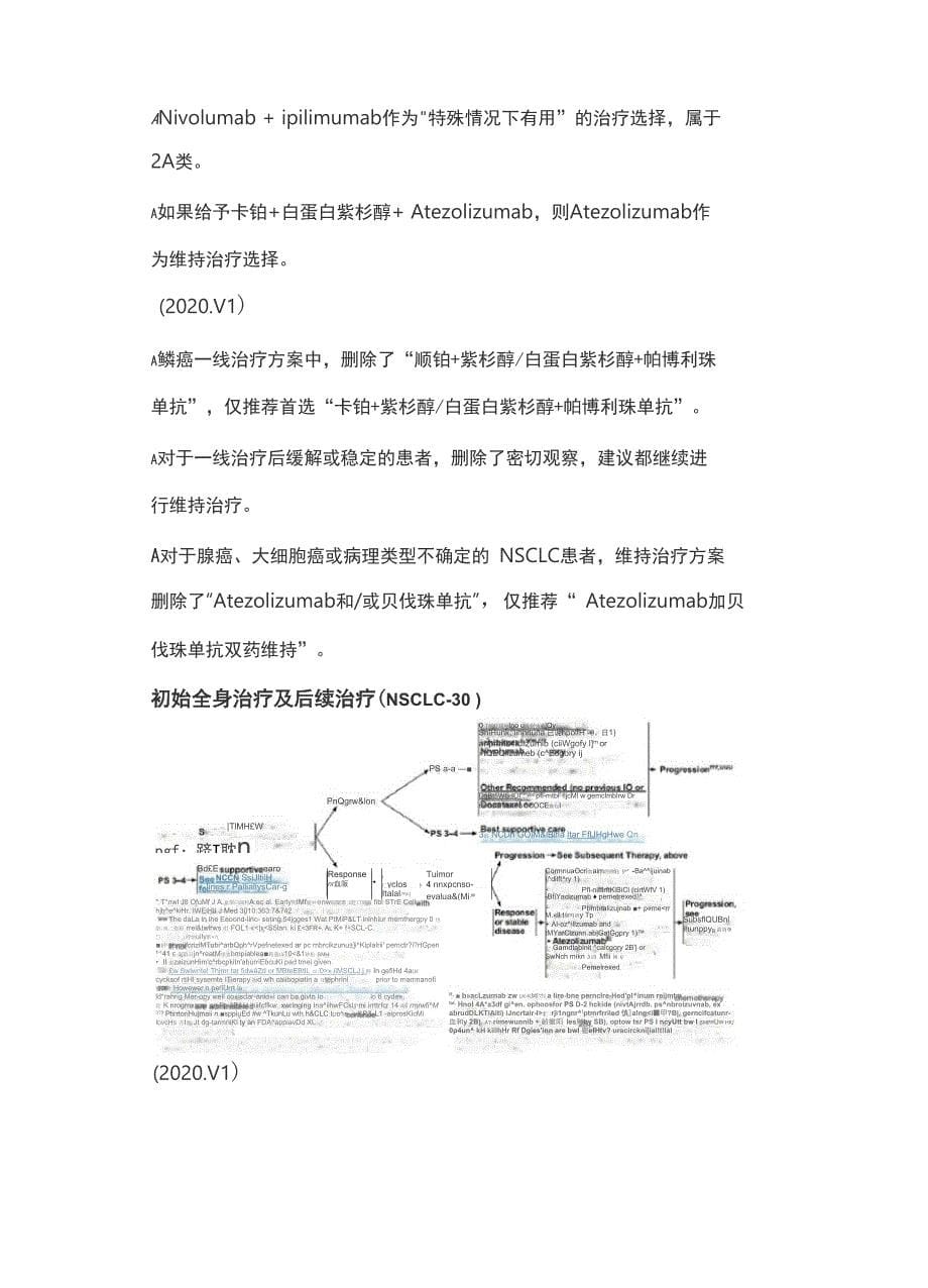 NCCN临床实践指南：非小细胞肺癌(2020V6)_第5页