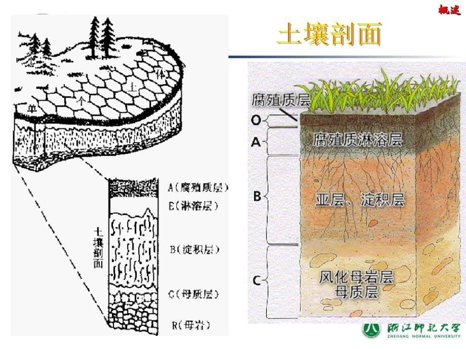 第7章污染土壤的环境修复技术环境修复原理与技术ppt课件_第5页