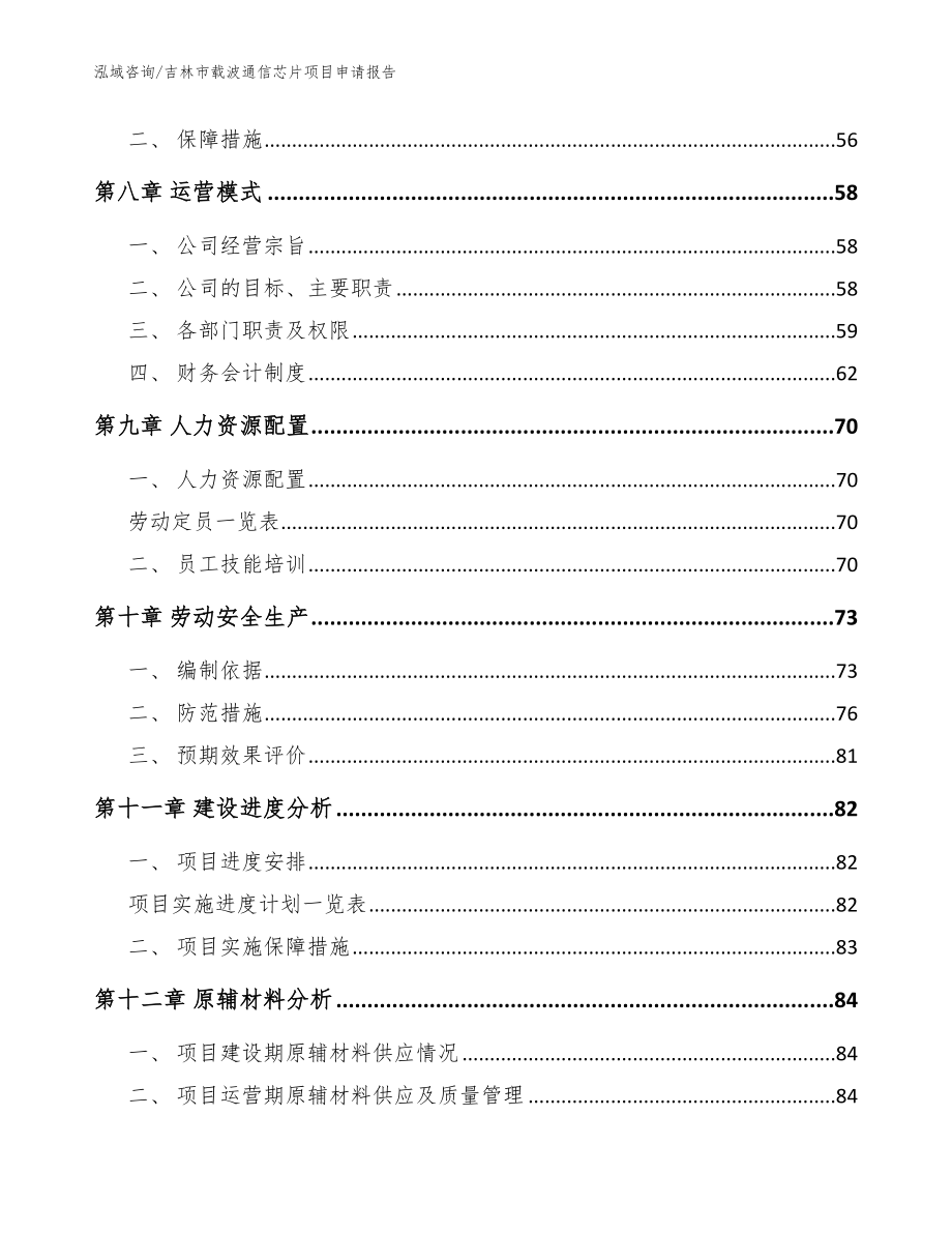 吉林市载波通信芯片项目申请报告范文_第3页