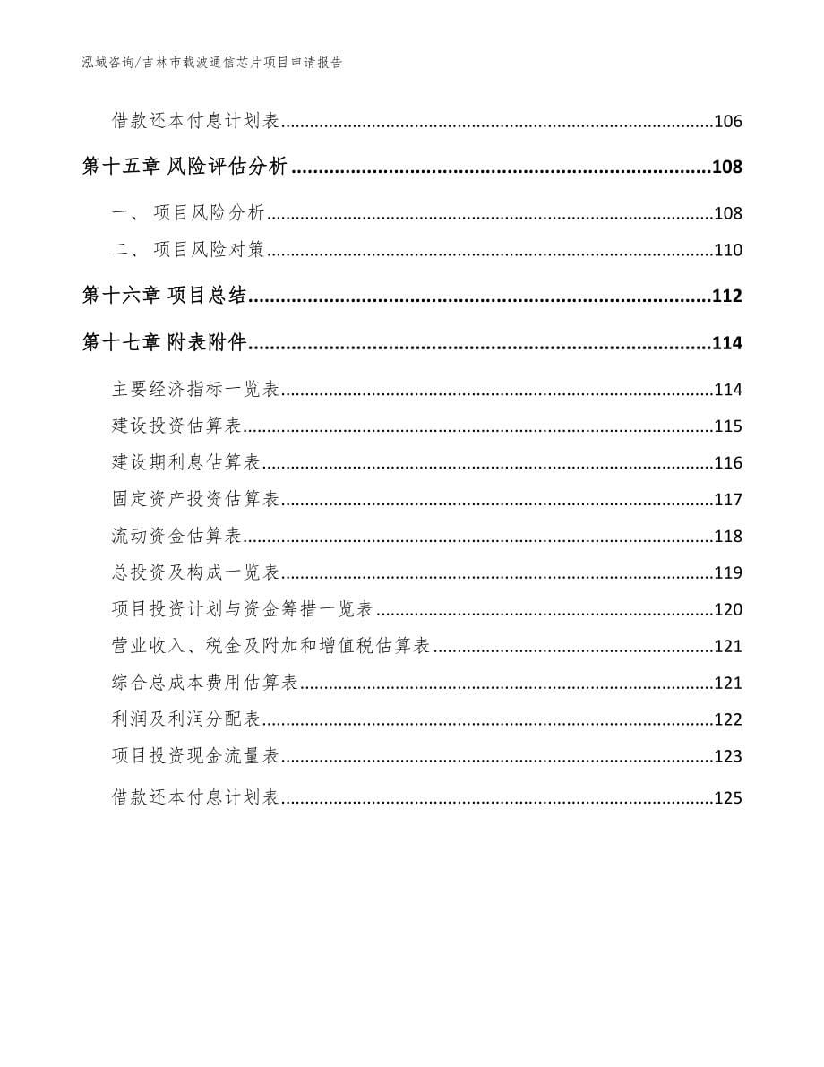 吉林市载波通信芯片项目申请报告范文_第5页