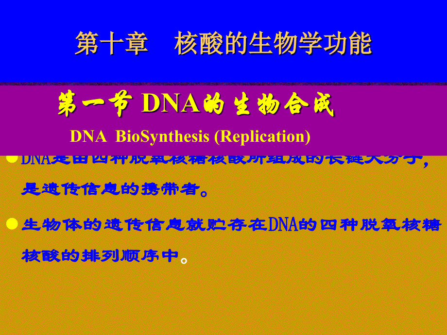 第11章DNA合成BFD_第1页