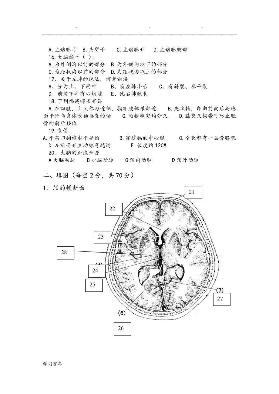 断层解剖学试卷.doc_第2页