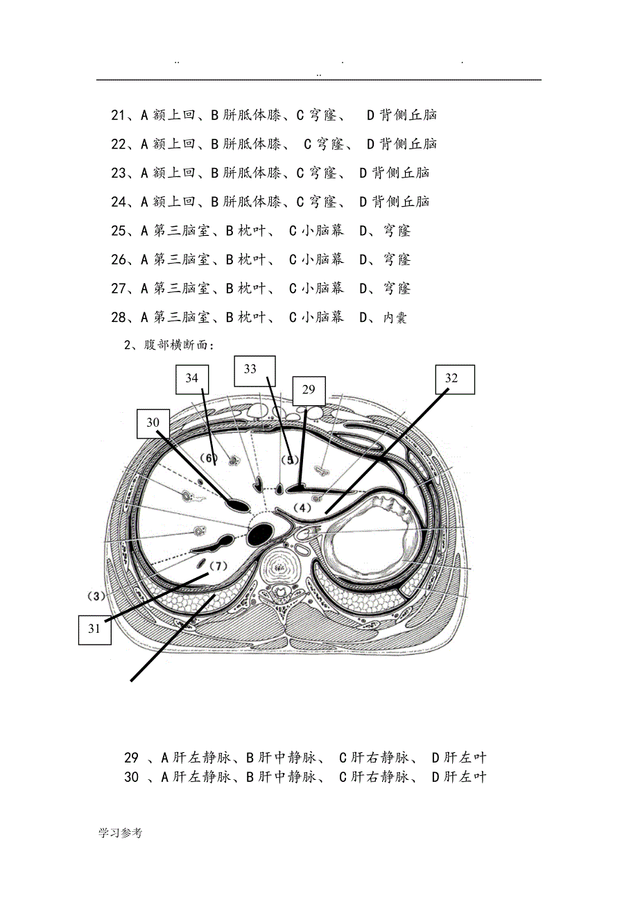 断层解剖学试卷.doc_第3页