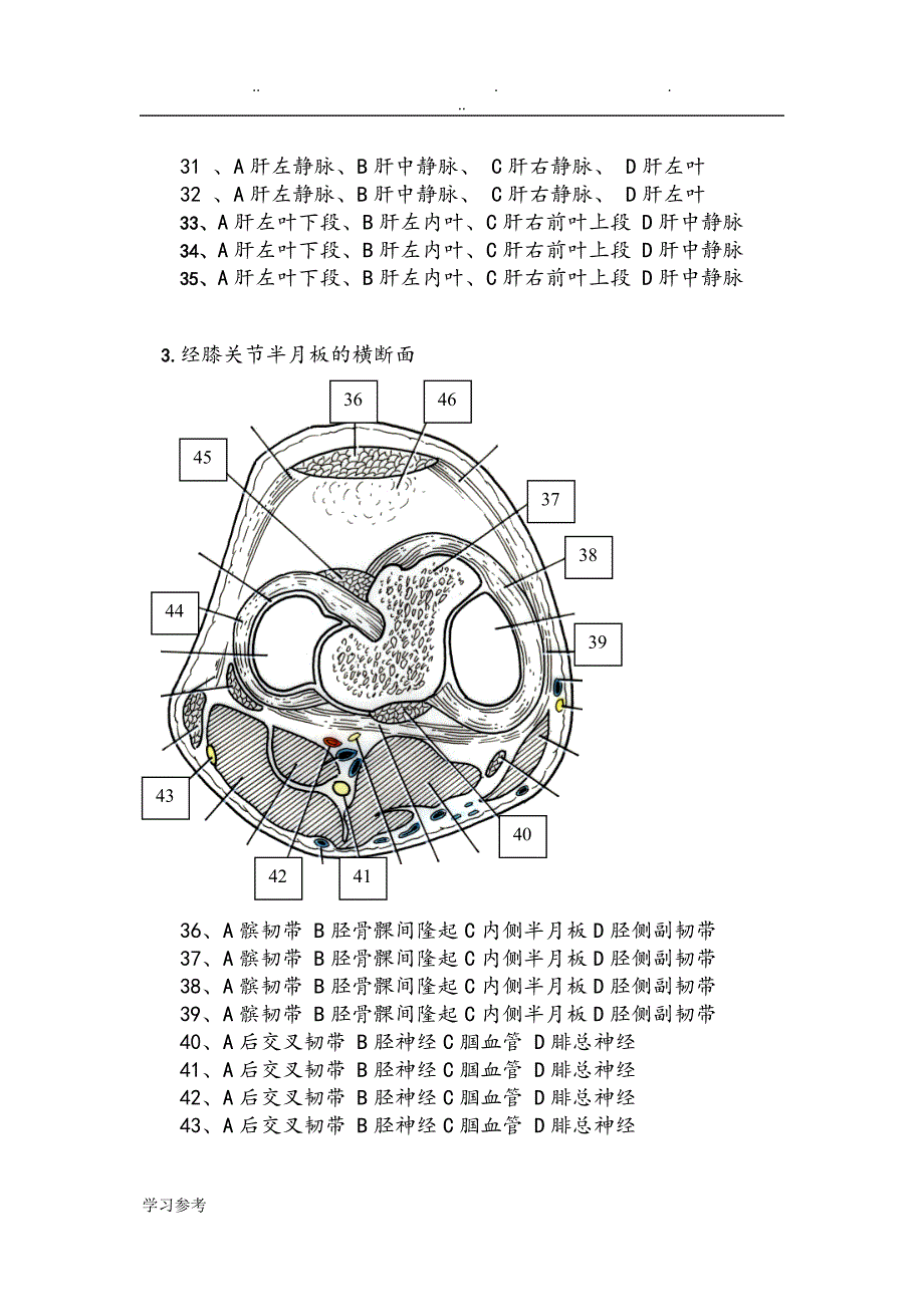 断层解剖学试卷.doc_第4页