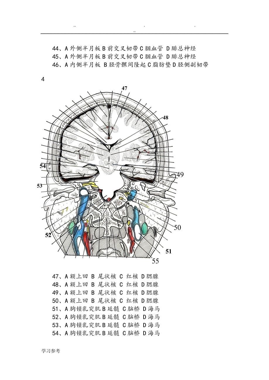 断层解剖学试卷.doc_第5页