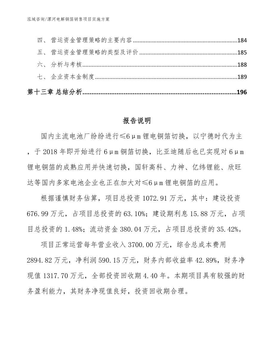 漯河电解铜箔销售项目实施方案范文参考_第5页