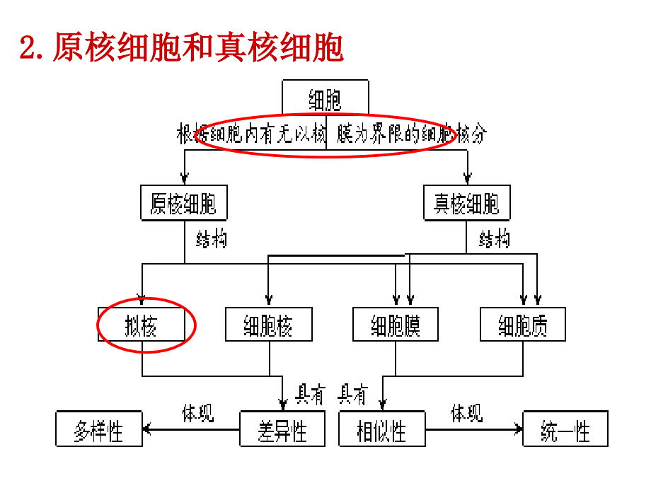 生物必修一概念图课件.ppt_第3页