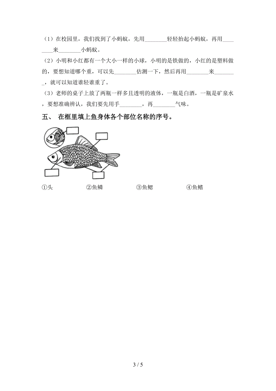 2022年教科版一年级科学上册期中测试卷及答案(1).doc_第3页