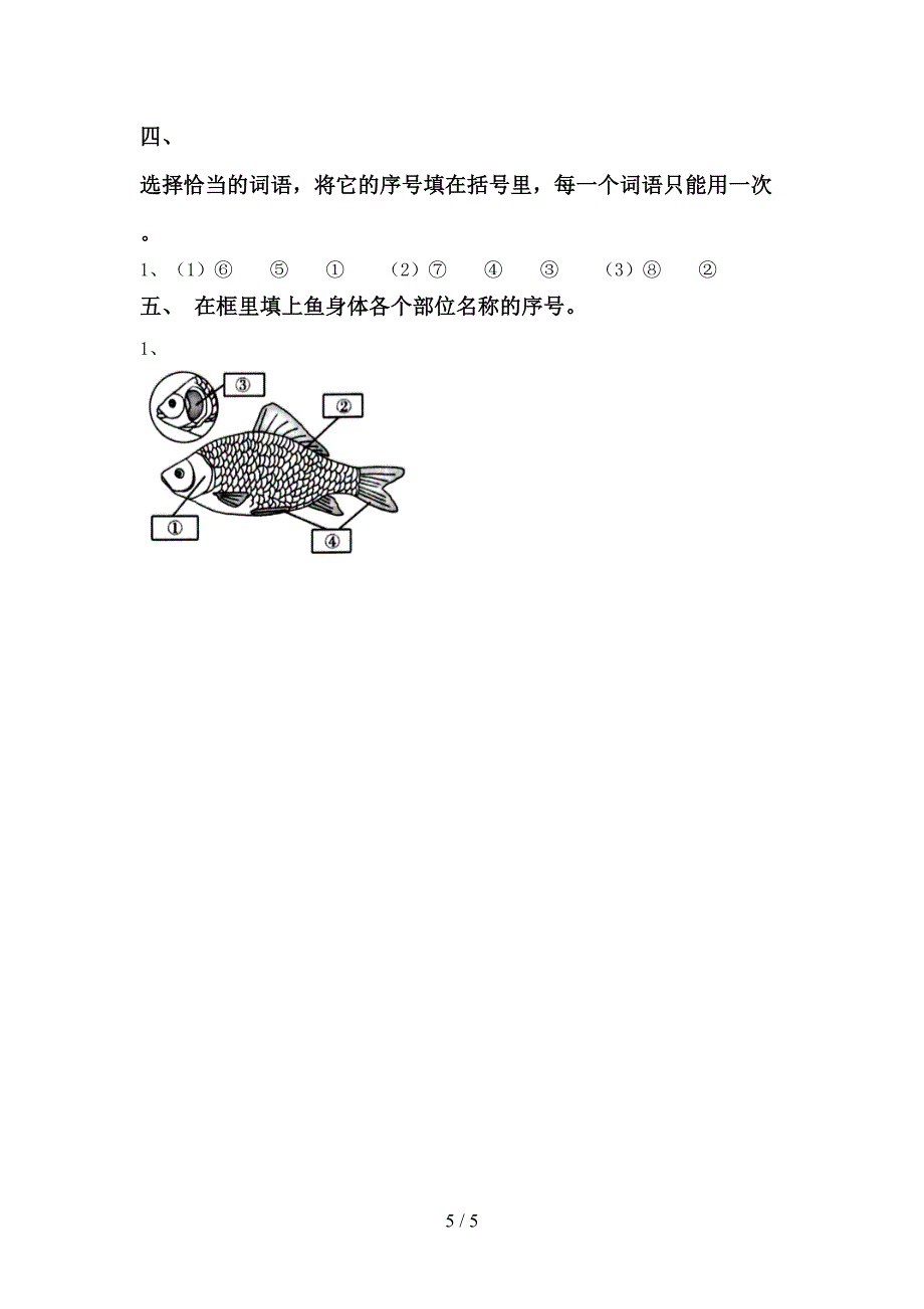 2022年教科版一年级科学上册期中测试卷及答案(1).doc_第5页