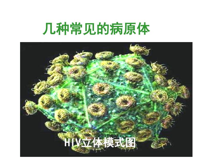 八年级生物传染病及其预防4_第2页