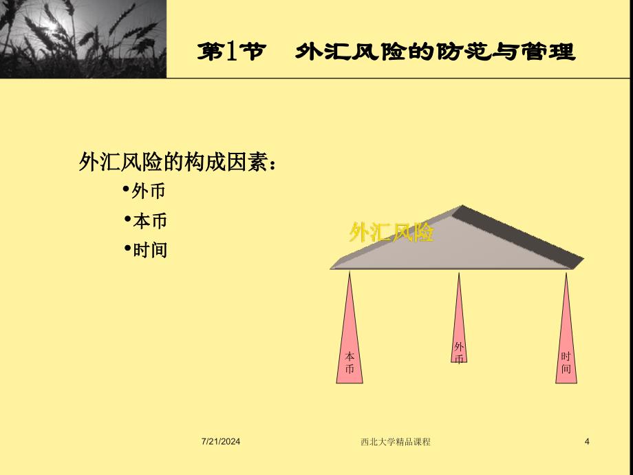 第5国际金融风险管理_第4页