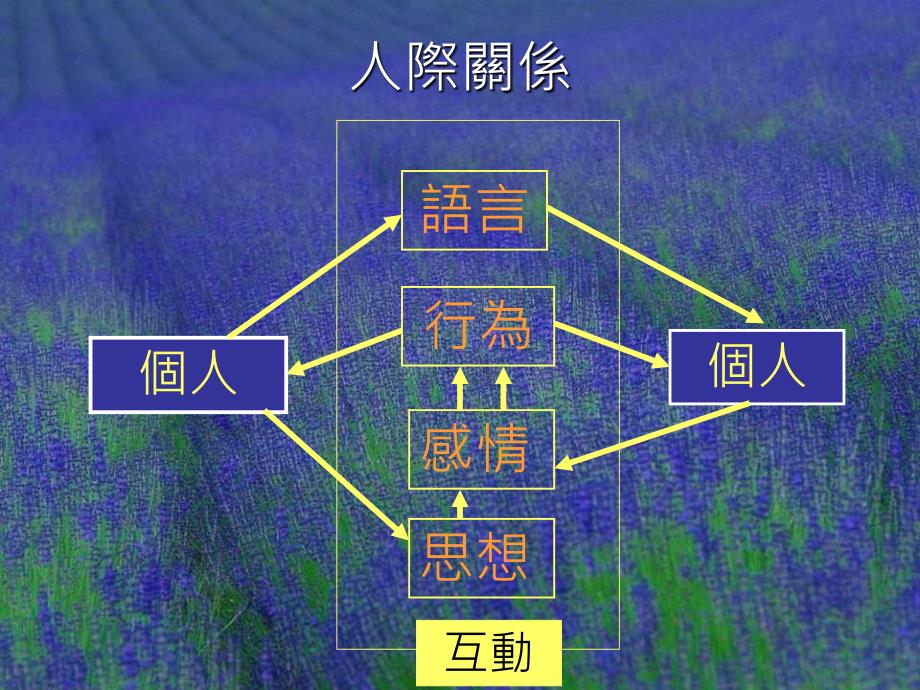 略自我及个人成长自我了解六家庭关系如何处理冲突_第4页