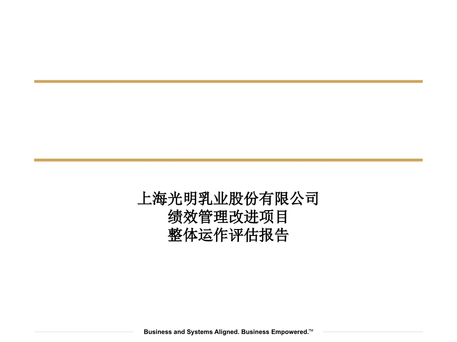 某绩效项目整体运作评估报告_第1页