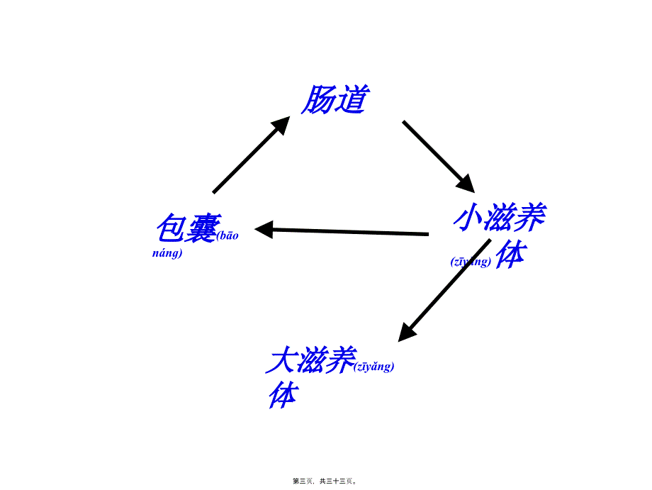 医学专题—抗阿米巴虫驱肠虫药16286_第3页