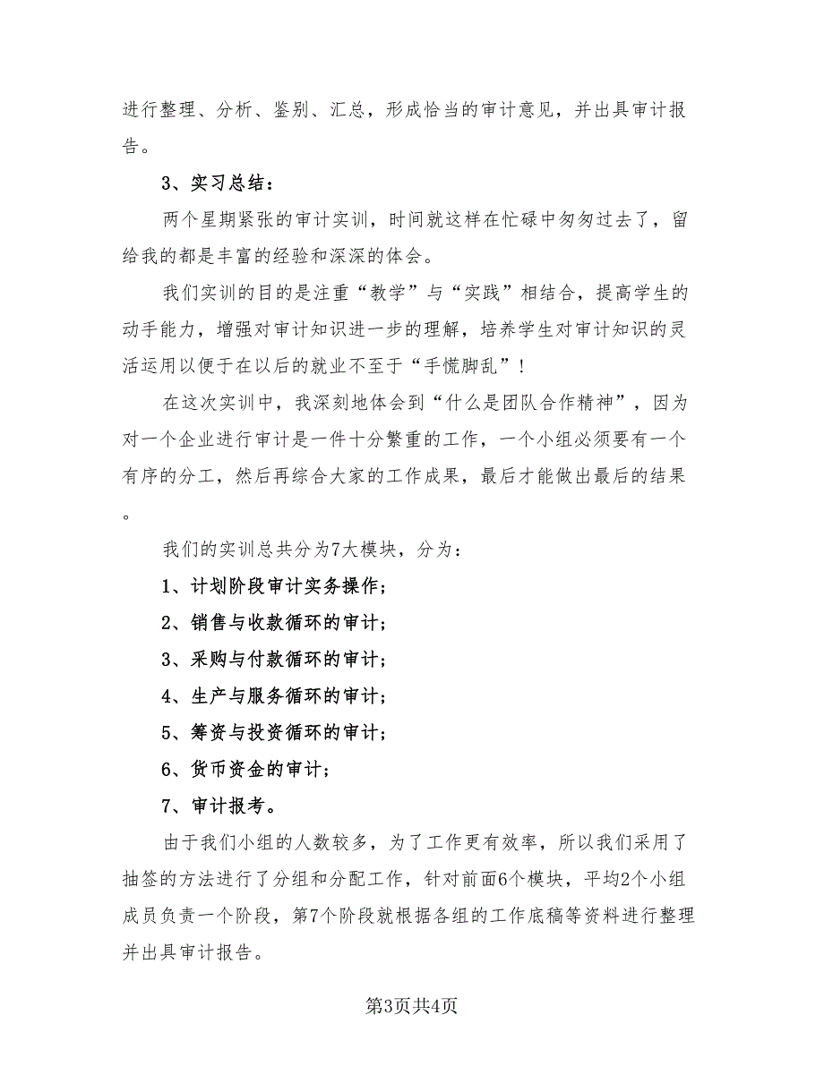 2023实习总结报告模板（2篇）.doc_第3页