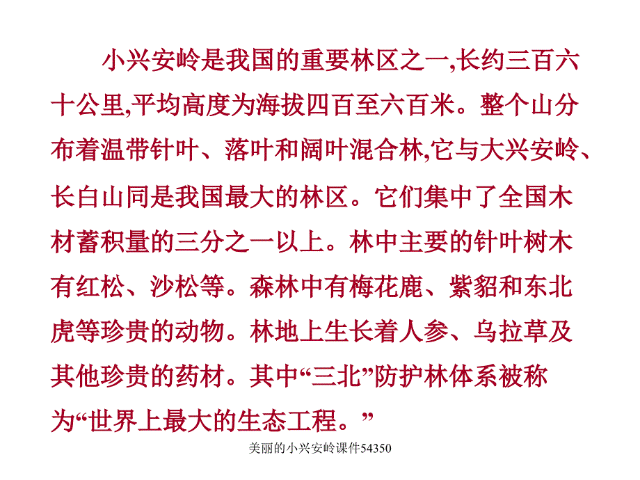 最新美丽的小兴安岭课件54350_第3页