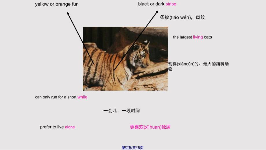 AunitwildanimalsIntedgratedskills汇总实用教案_第2页