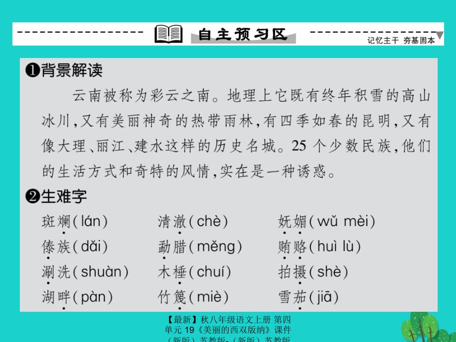 最新八年级语文上册第四单元19美丽的西双版纳课件苏教版苏教版初中八年级上册语文课件_第4页