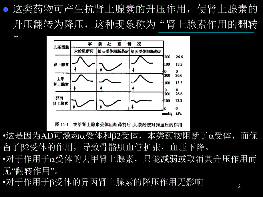 肾上腺素受体阻断药第一节a受体阻断药_第2页