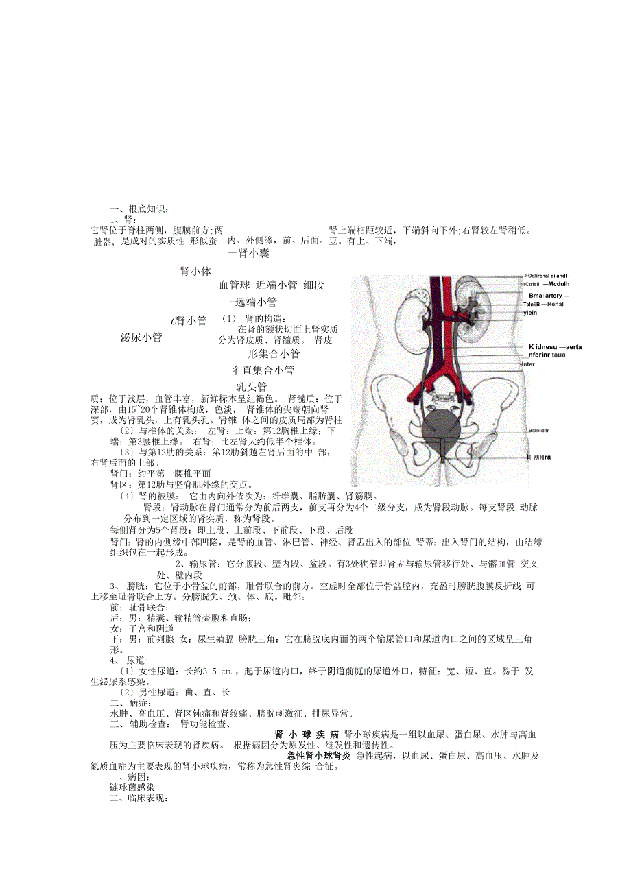 内科学泌尿系统疾病总结_第1页