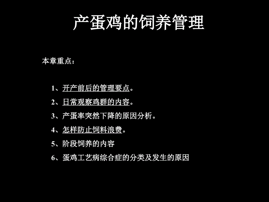 产蛋鸡的饲养管理ppt课件_第1页