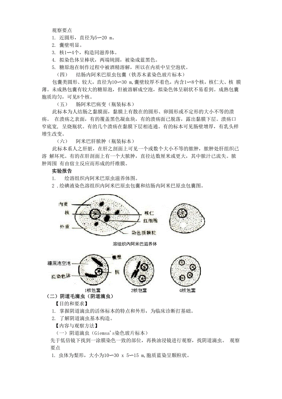 人体寄生虫标本的观察_第3页