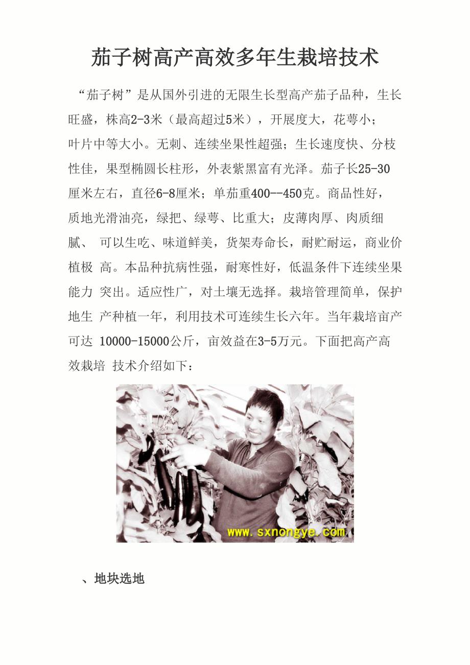 茄子树高产高效多年生栽培技术_第1页