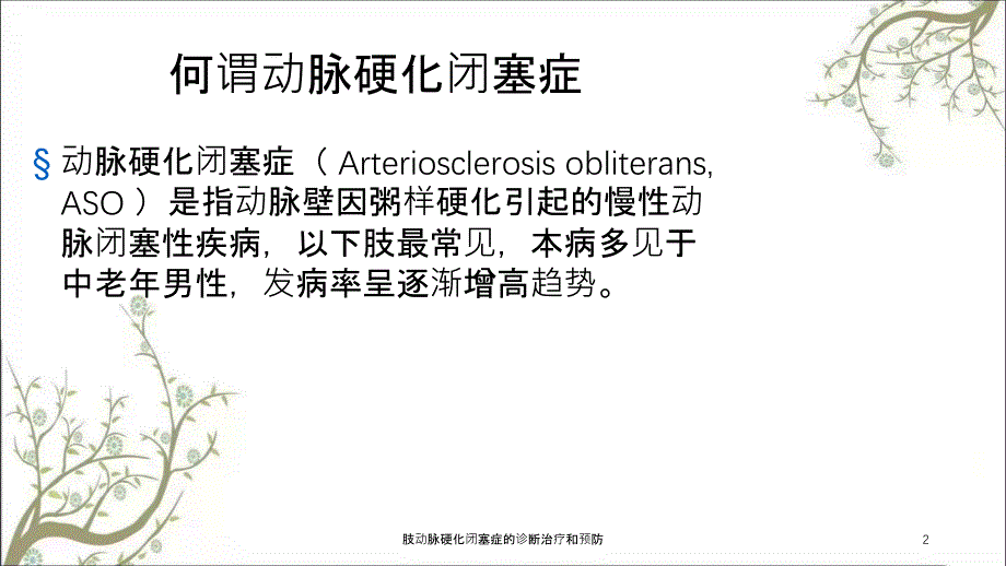 肢动脉硬化闭塞症的诊断治疗和预防_第2页