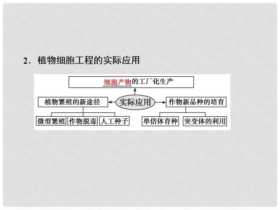 高考生物一轮复习 第十一单元 现代生物科技专题 第二讲 细胞工程课件 苏教版_第5页