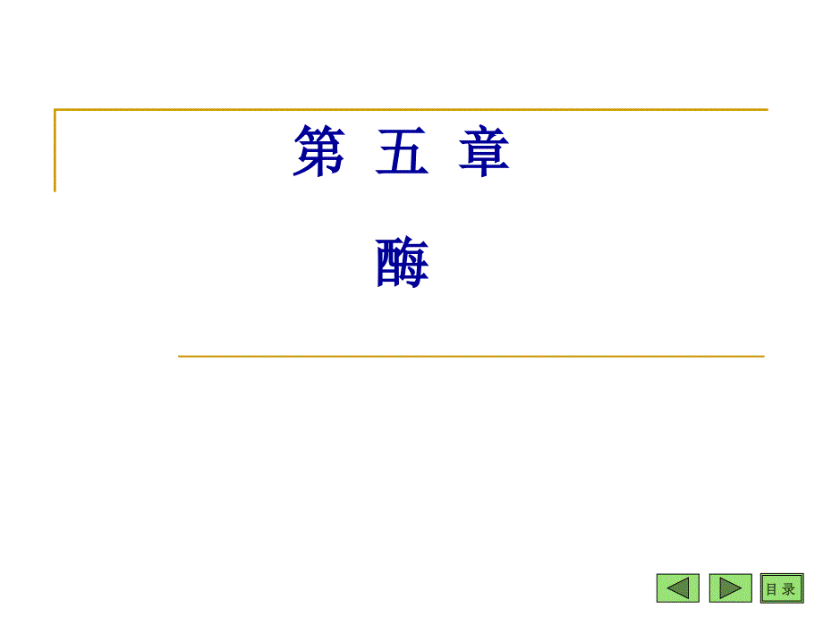 中药chapter 5 enzyme_第1页