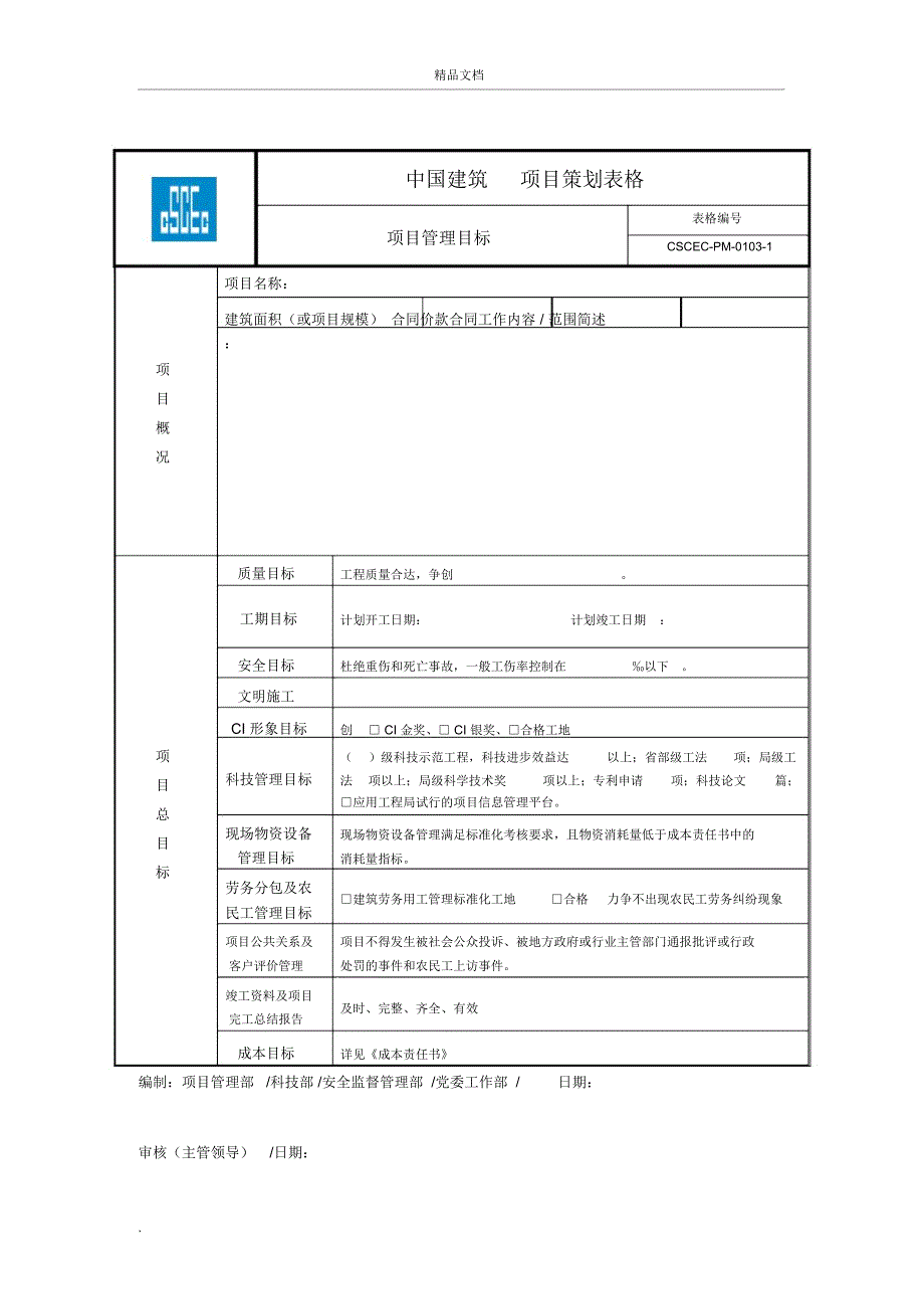 项目策划表格_第3页