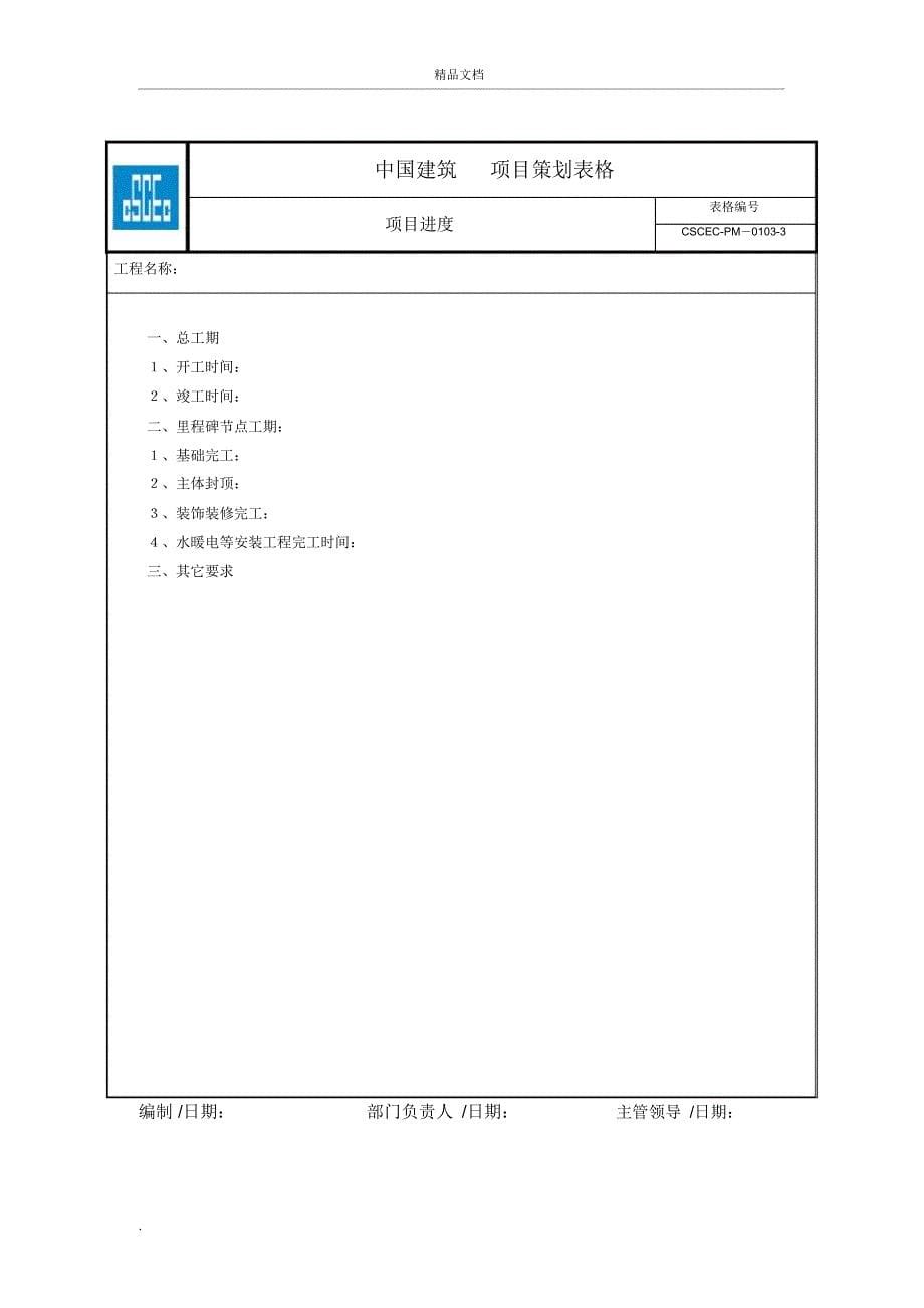 项目策划表格_第5页