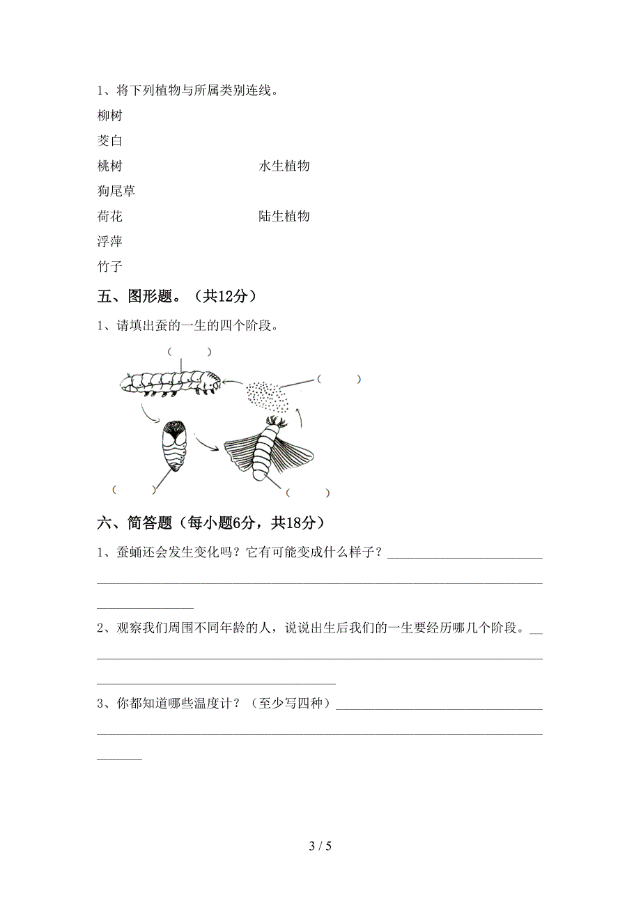 人教版三年级科学下册期中考试题及答案【审定版】.doc_第3页