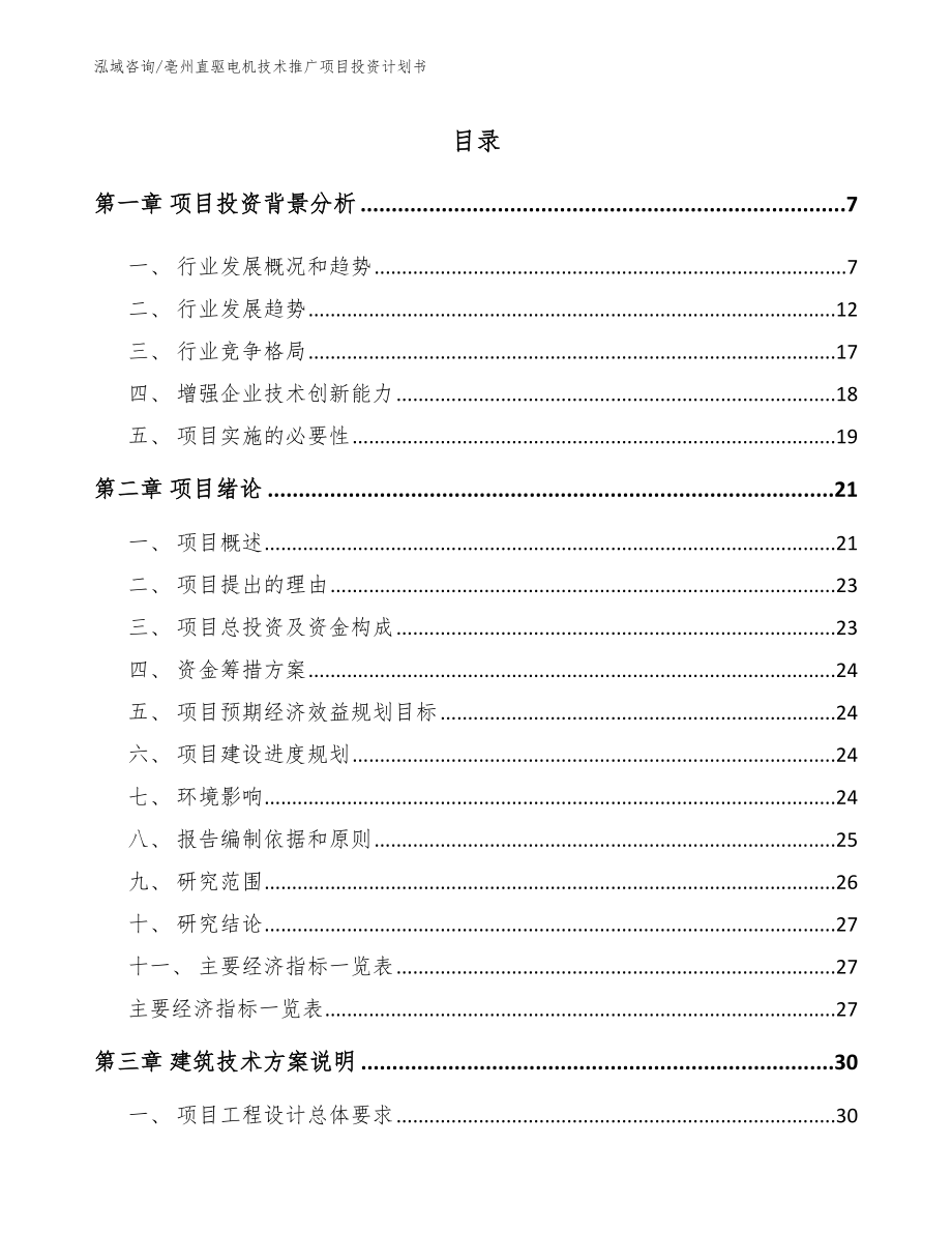 亳州直驱电机技术推广项目投资计划书模板参考_第1页