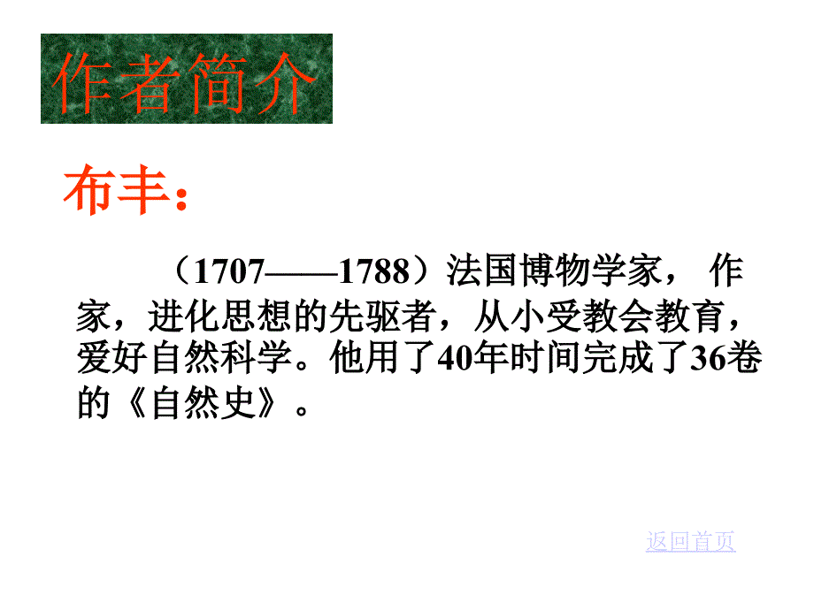 松鼠 (4)_第4页