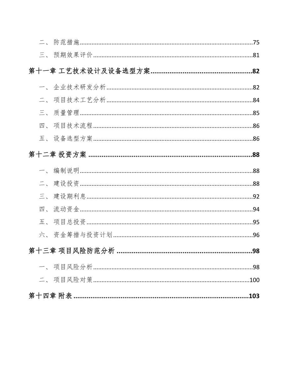 甘肃安全带项目可行性研究报告_第5页