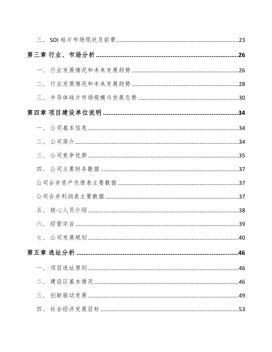 广州半导体硅片项目可行性研究报告_第4页