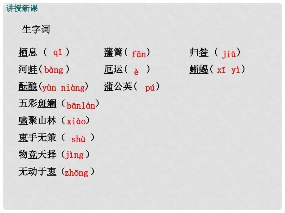 八年级语文上册 第四单元 19《生物入侵者》教学课件 （新版）新人教版_第5页