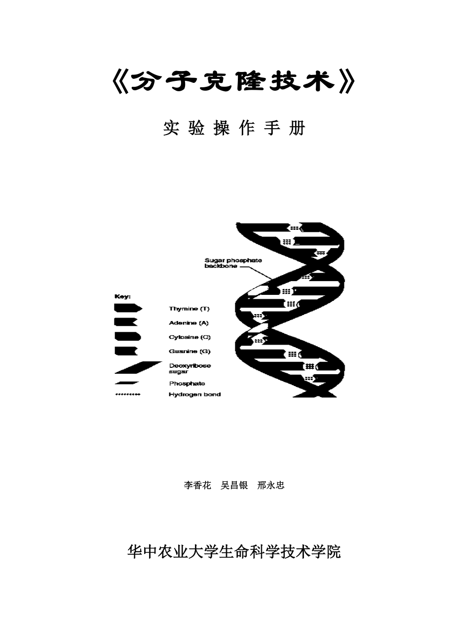 分子克隆技术实验操作手册.doc_第1页